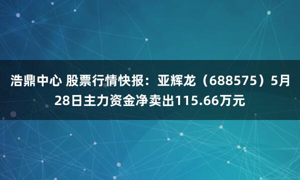 浩鼎中心 股票行情快报：亚辉龙（688575）5月28日主力资金净卖出115.66万元