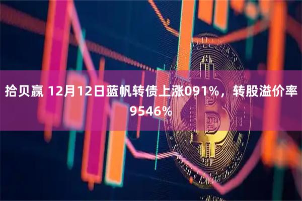 拾贝赢 12月12日蓝帆转债上涨091%，转股溢价率9546%